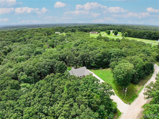 190 Whispering Pines Est, Saint Clair, MO 63077 - photo 74