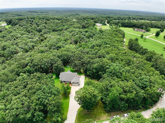 190 Whispering Pines Est, Saint Clair, MO 63077 - photo 76