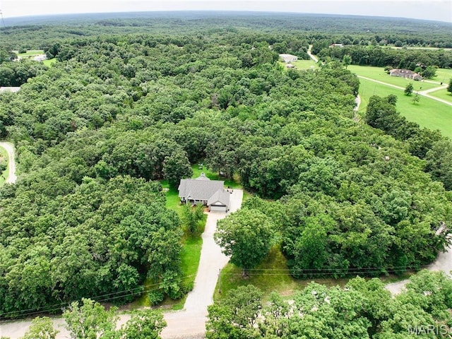 190 Whispering Pines Est, Saint Clair, MO 63077 - photo 77