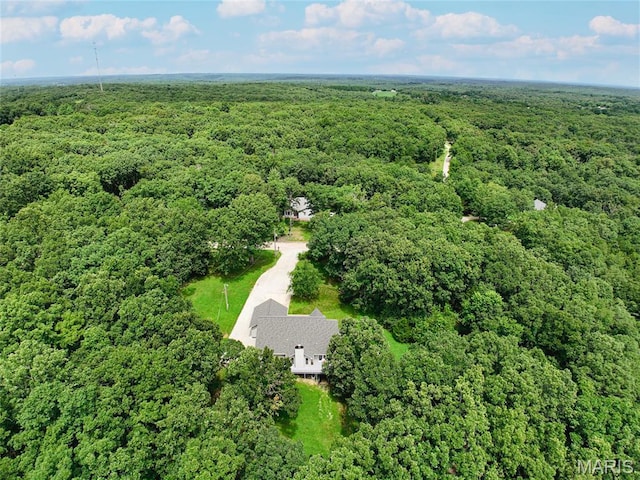 190 Whispering Pines Est, Saint Clair, MO 63077 - photo 82