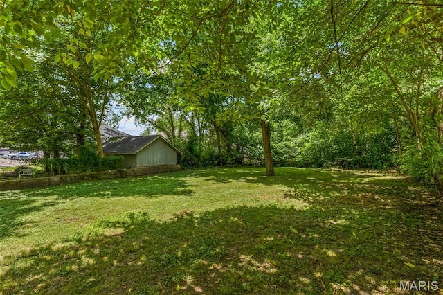 209 Gabarino St, Festus, MO 63028 - photo 32