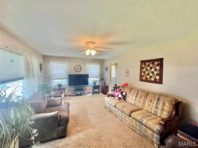 224 Green St, Monroe City, MO 63456 - photo 7