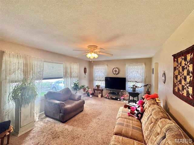 224 Green St, Monroe City, MO 63456 - photo 8