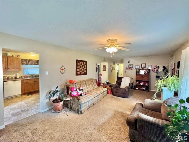 224 Green St, Monroe City, MO 63456 - photo 9