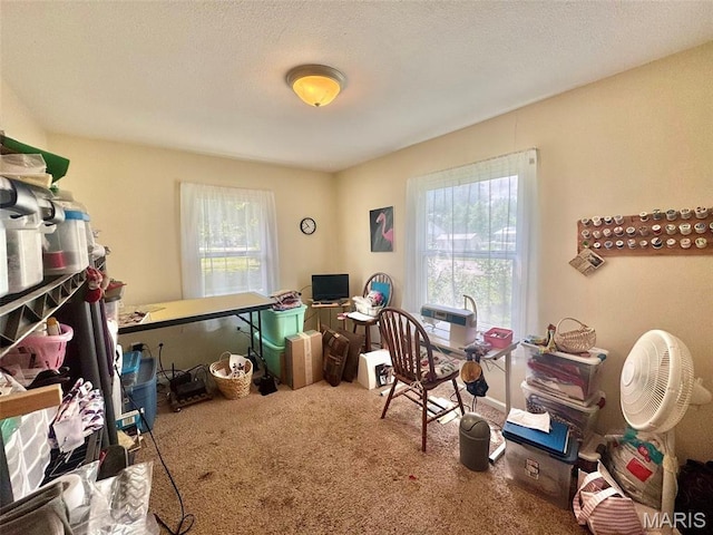 224 Green St, Monroe City, MO 63456 - photo 14