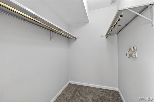 4454 Lindell Blvd Unit 32, Saint Louis, MO 63108 - photo 14