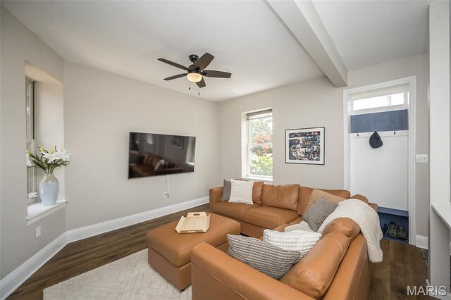 3420 Humphrey St, Saint Louis, MO 63118 - photo 12
