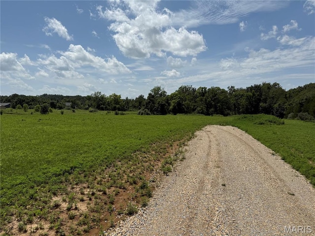 3255 Rock Rd, Bismarck, MO 63624 - photo 10