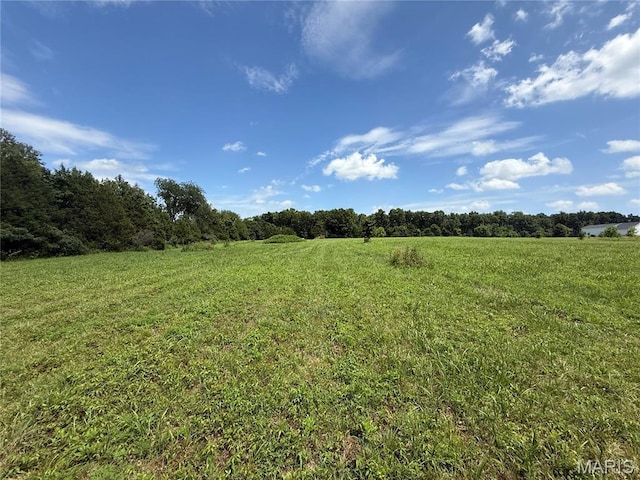 3255 Rock Rd, Bismarck, MO 63624 - photo 19
