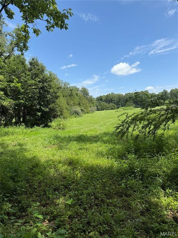 3255 Rock Rd, Bismarck, MO 63624 - photo 20