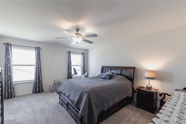 505 Palisades Dr, Saint Charles, MO 63301 - photo 17