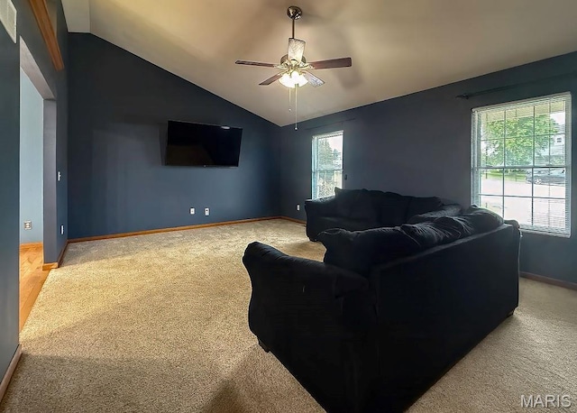 1504 Essex Heights Dr, De Soto, MO 63020 - photo 4