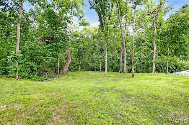 2796 Earth Crest Dr, Washington, MO 63090 - photo 33