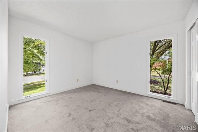 342 Clayton Trails Dr, Ellisville, MO 63011 - photo 25
