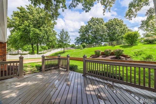 342 Clayton Trails Dr, Ellisville, MO 63011 - photo 38