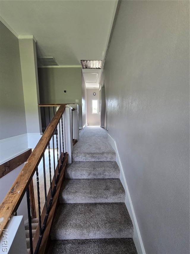 15401 Boulder Rd, Carlyle, IL 62231 - photo 30