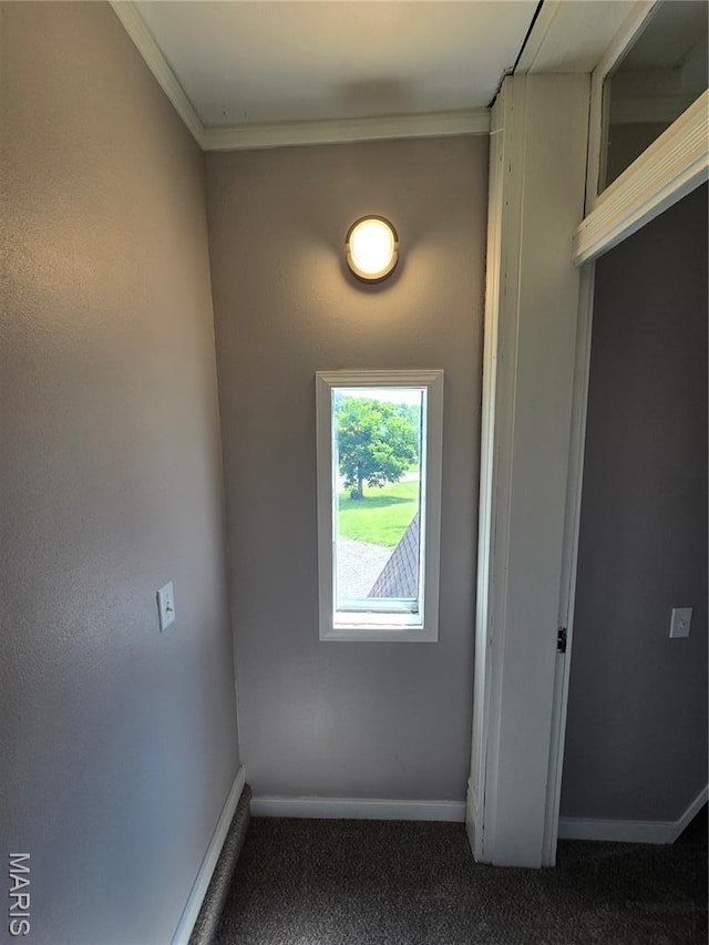 15401 Boulder Rd, Carlyle, IL 62231 - photo 36