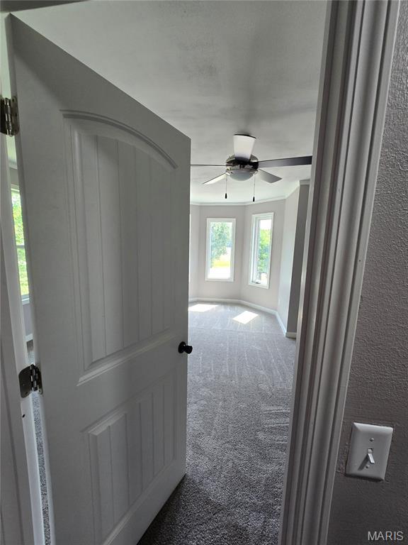 15401 Boulder Rd, Carlyle, IL 62231 - photo 43