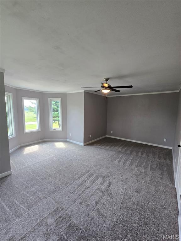 15401 Boulder Rd, Carlyle, IL 62231 - photo 45