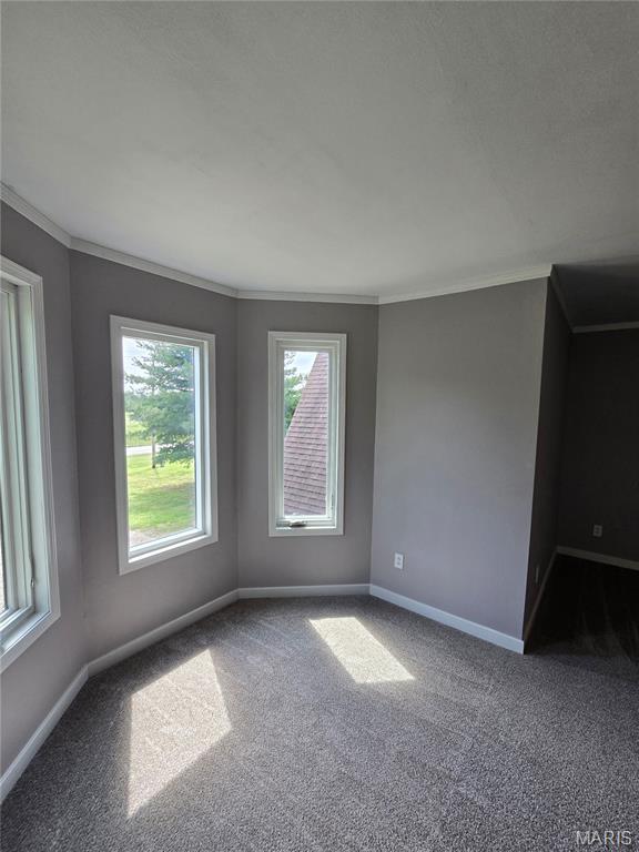 15401 Boulder Rd, Carlyle, IL 62231 - photo 46