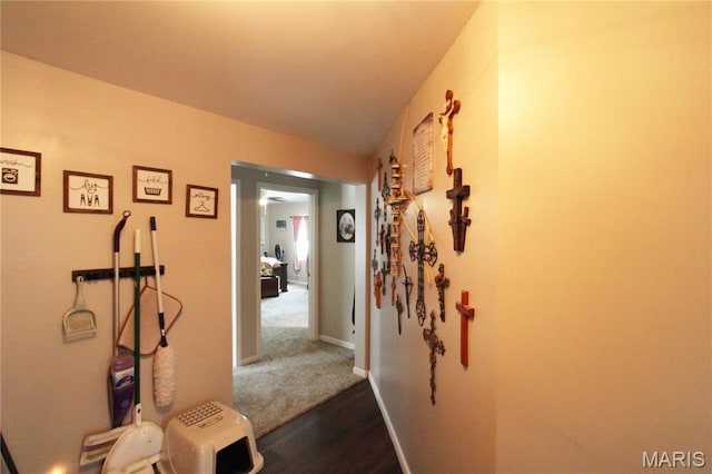 10755 Bcr 418, Marble Hill, MO 63764 - photo 52