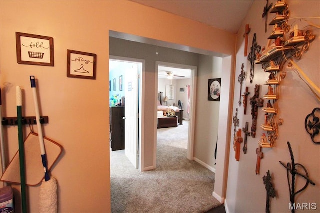 10755 Bcr 418, Marble Hill, MO 63764 - photo 53