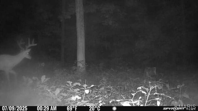 10755 Bcr 418, Marble Hill, MO 63764 - photo 90
