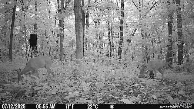 10755 Bcr 418, Marble Hill, MO 63764 - photo 92