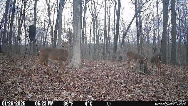 10755 Bcr 418, Marble Hill, MO 63764 - photo 93