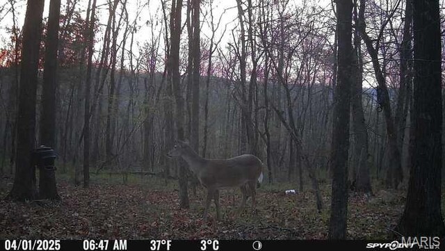 10755 Bcr 418, Marble Hill, MO 63764 - photo 94