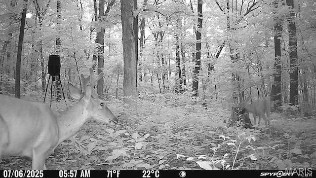 10755 Bcr 418, Marble Hill, MO 63764 - photo 95