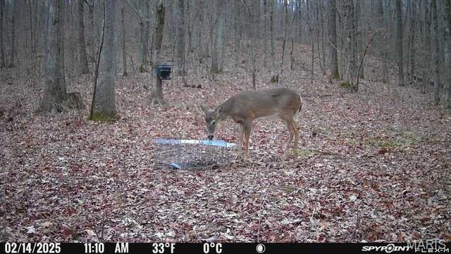 10755 Bcr 418, Marble Hill, MO 63764 - photo 96