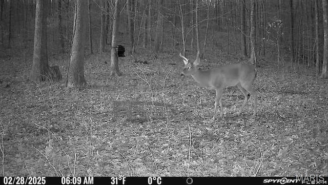 10755 Bcr 418, Marble Hill, MO 63764 - photo 97