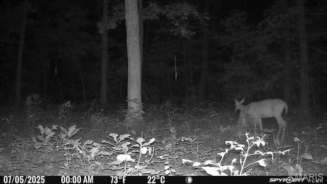 10755 Bcr 418, Marble Hill, MO 63764 - photo 98