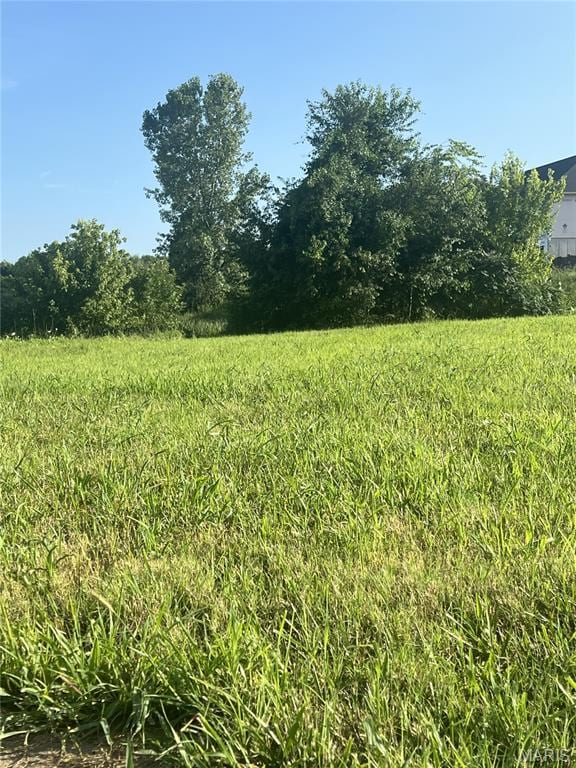 1393 Warren Lake Dr, Jackson, MO 63755 - photo 5