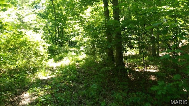 481 Timberline Rd, Mo, MO 65793 - photo 2