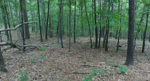 481 Timberline Rd, Mo, MO 65793 - photo 6