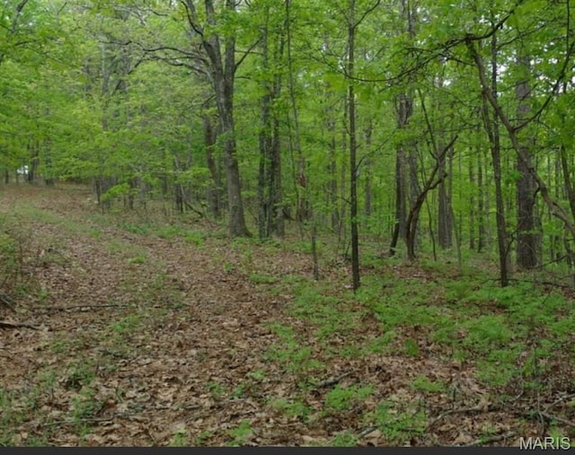 481 Timberline Rd, Mo, MO 65793 - photo 10