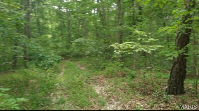 481 Timberline Rd, Mo, MO 65793 - photo 12