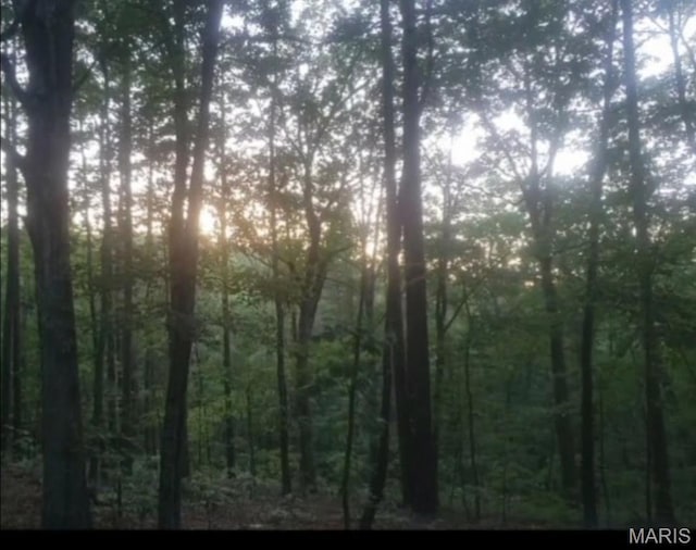 481 Timberline Rd, Mo, MO 65793 - photo 14