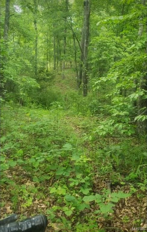481 Timberline Rd, Mo, MO 65793 - photo 15
