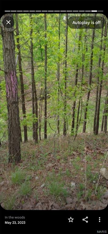 481 Timberline Rd, Mo, MO 65793 - photo 18