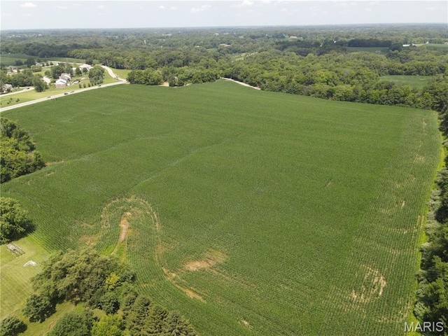 1454 Scott Troy Rd, Lebanon, IL 62254 - photo 6