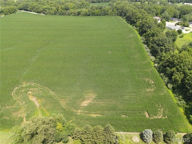 1454 Scott Troy Rd, Lebanon, IL 62254 - photo 7