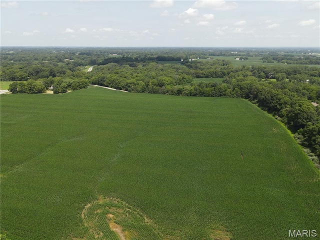 1454 Scott Troy Rd, Lebanon, IL 62254 - photo 9