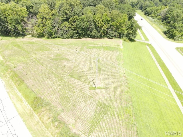 1454 Scott Troy Rd, Lebanon, IL 62254 - photo 15