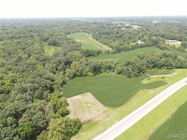 1454 Scott Troy Rd, Lebanon, IL 62254 - photo 22