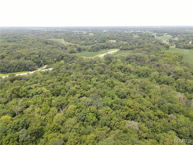 1454 Scott Troy Rd, Lebanon, IL 62254 - photo 28