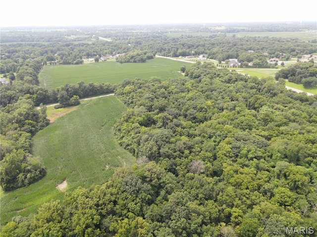 1454 Scott Troy Rd, Lebanon, IL 62254 - photo 29
