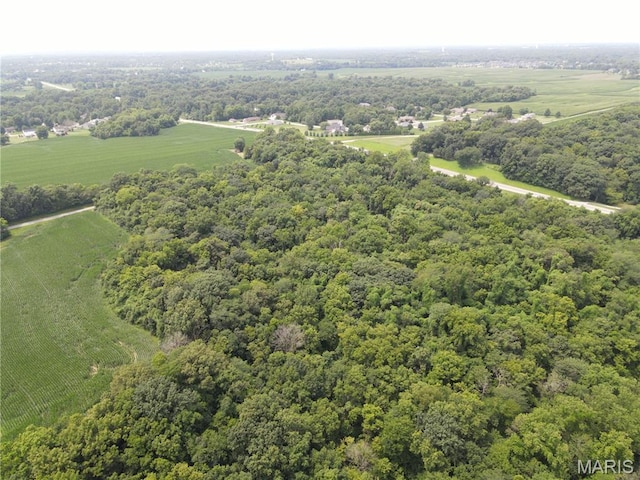 1454 Scott Troy Rd, Lebanon, IL 62254 - photo 30